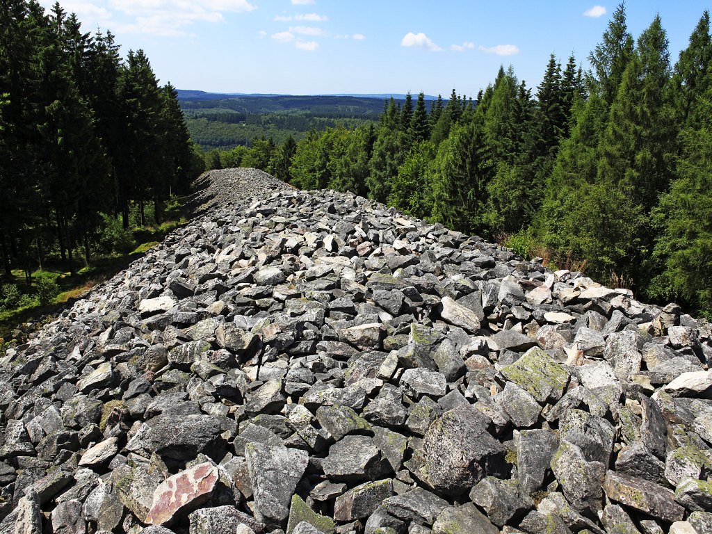 Keltenring (Foto: NP Hunsrück-Hochwald / K. Funk)